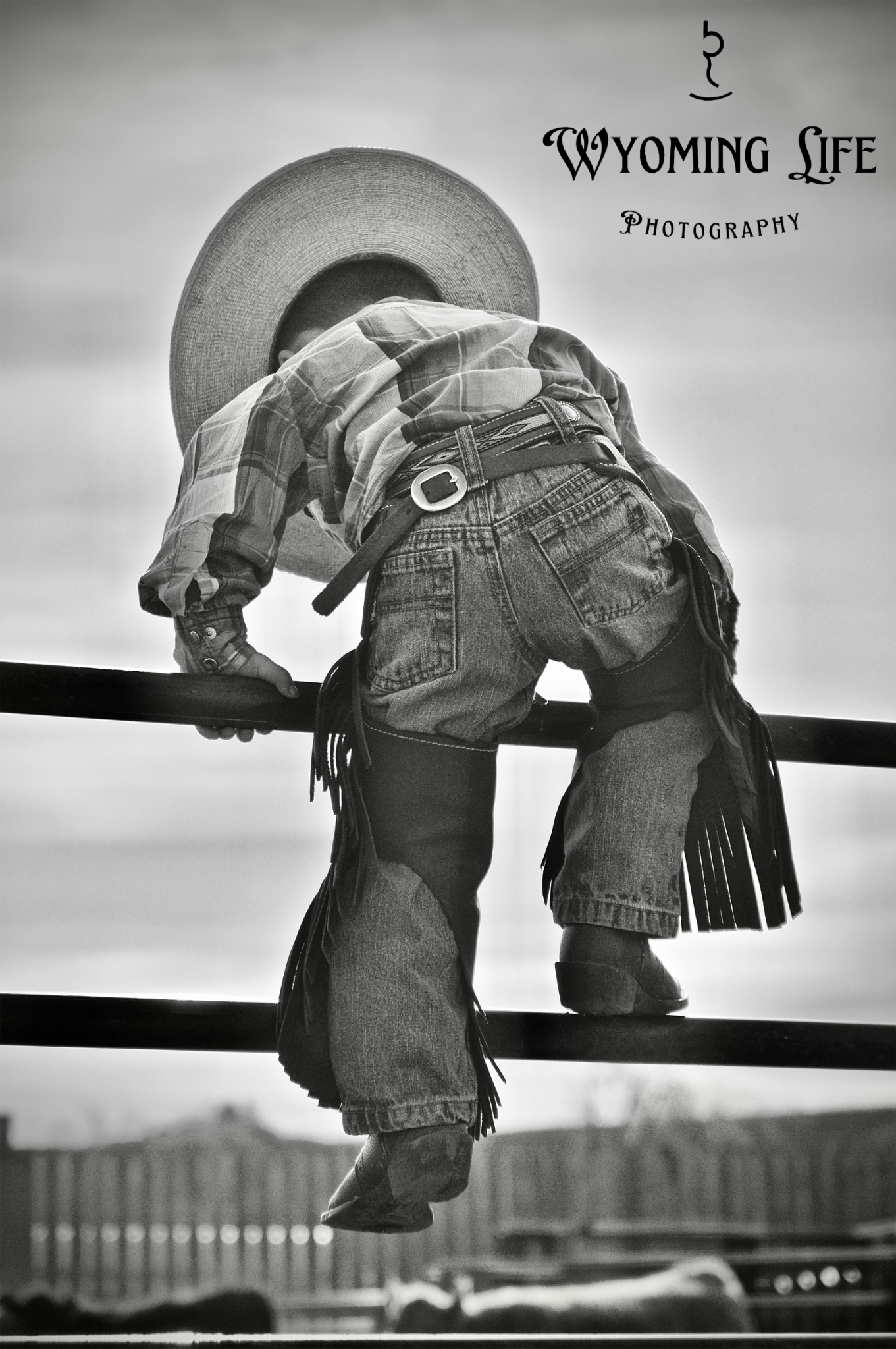 Canvas, Little Cowboy