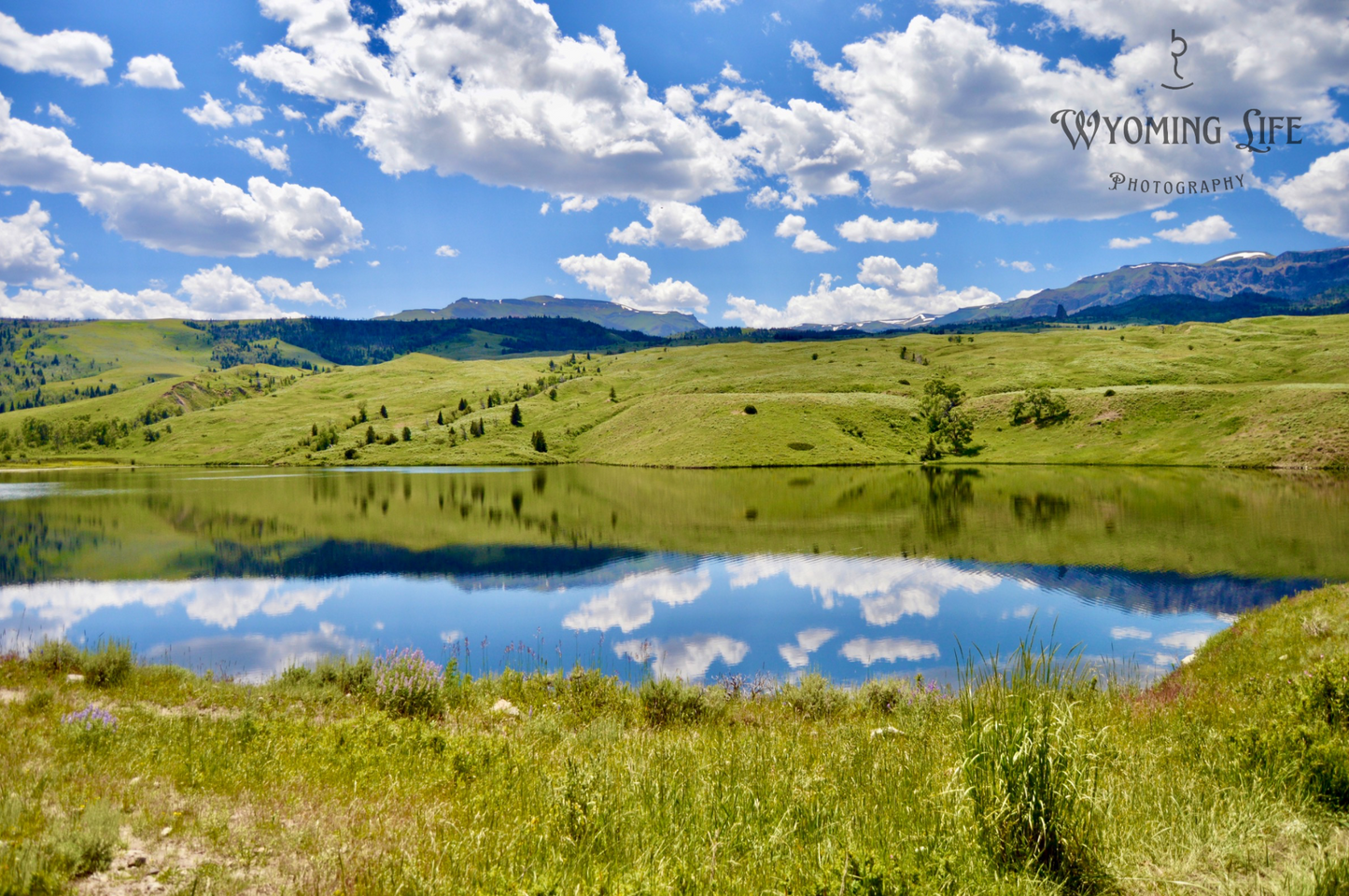 Metal, Carter Mountain Reflection