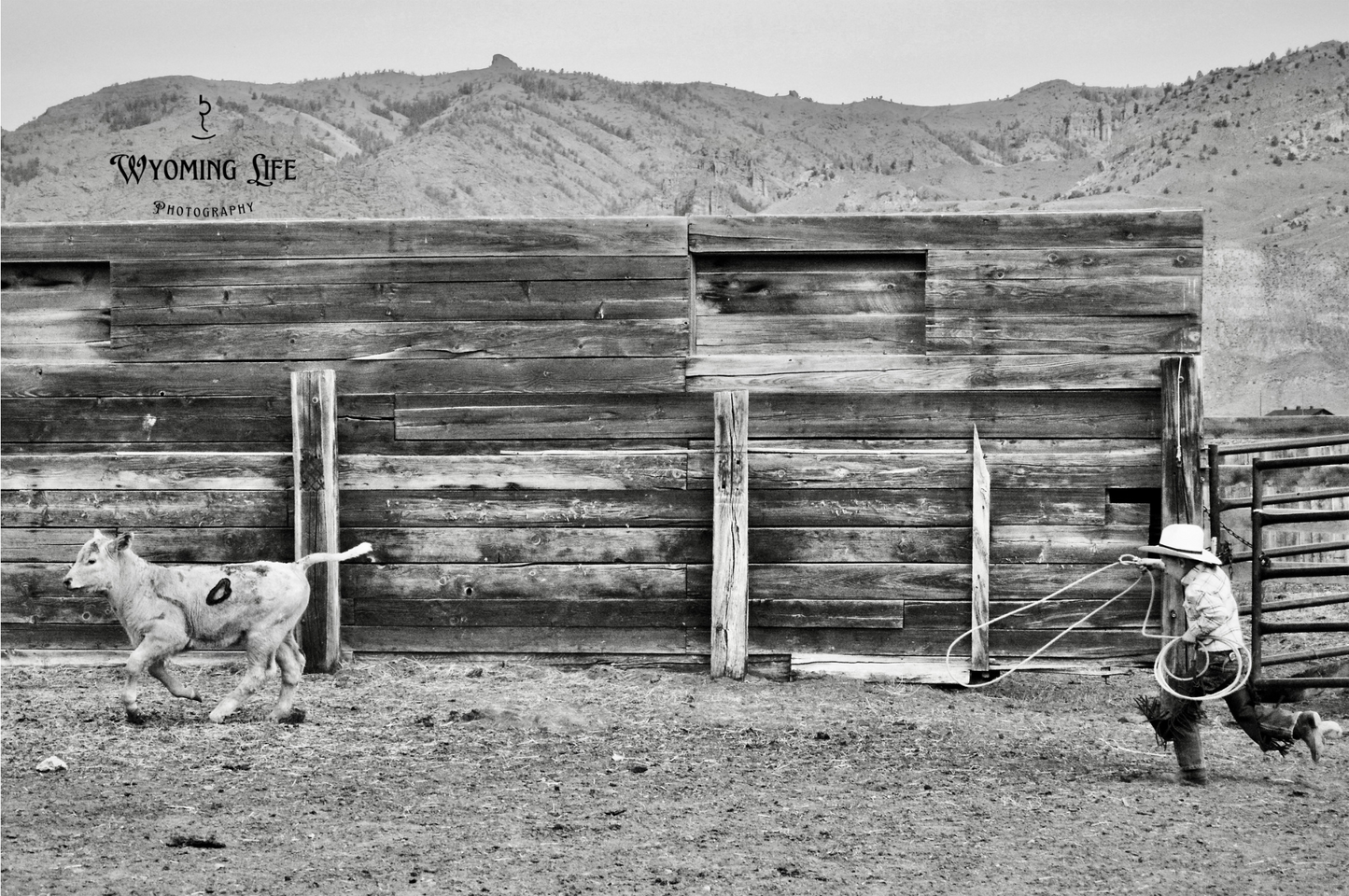Matte Print, Determined Buckaroo 3