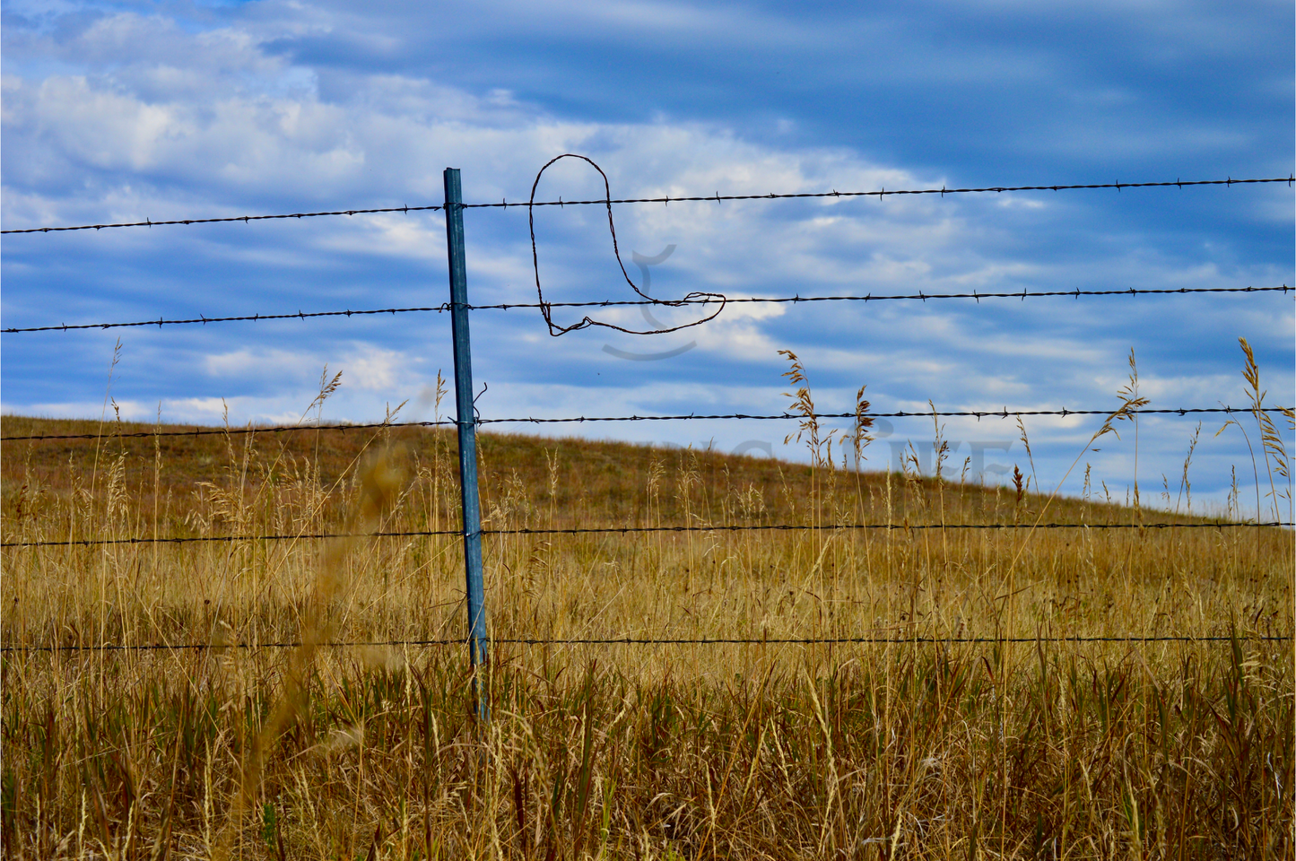 Metal, Cowboy Boot Fence Art