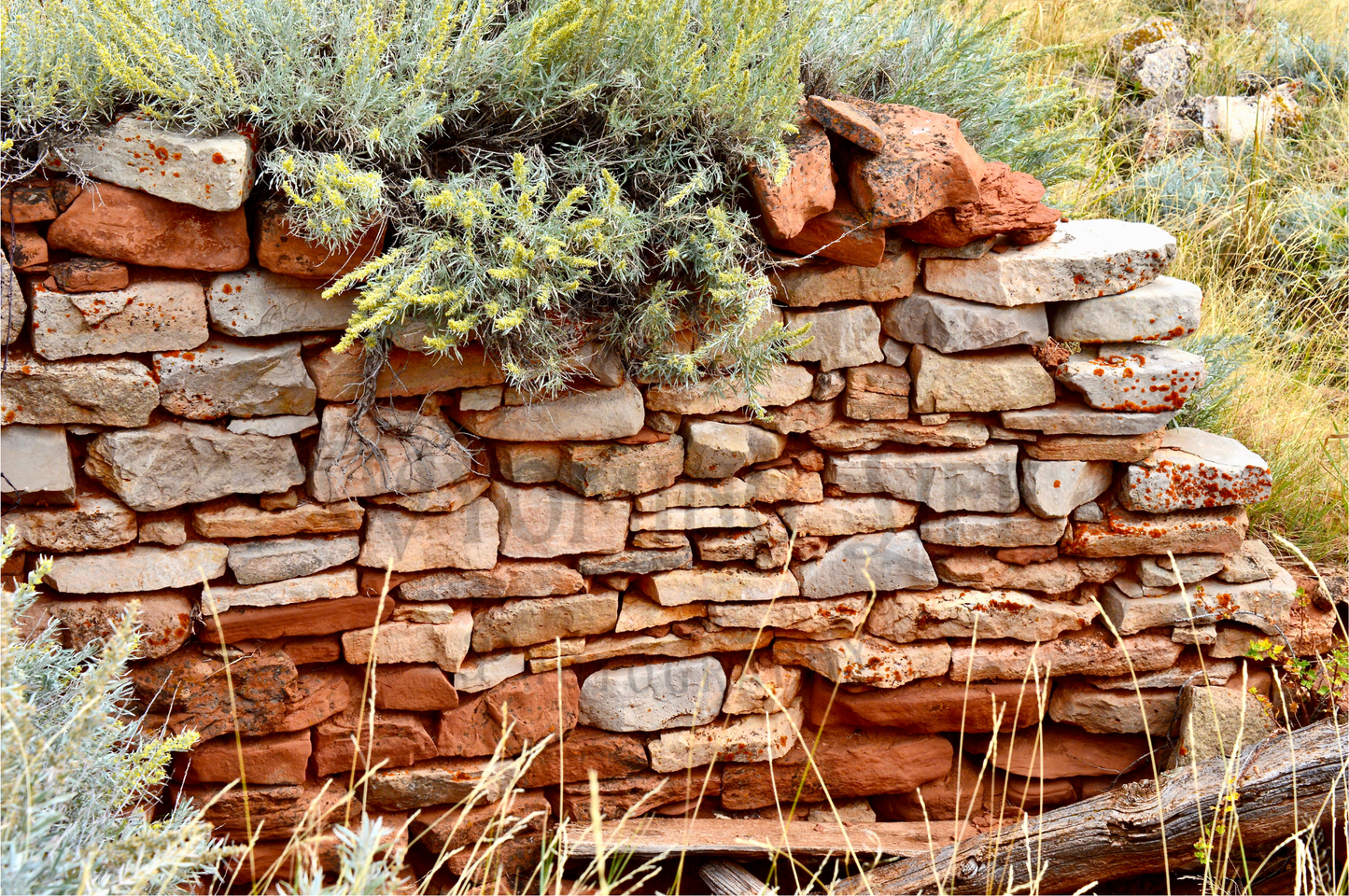 Canvas, Old Root Cellar Wall