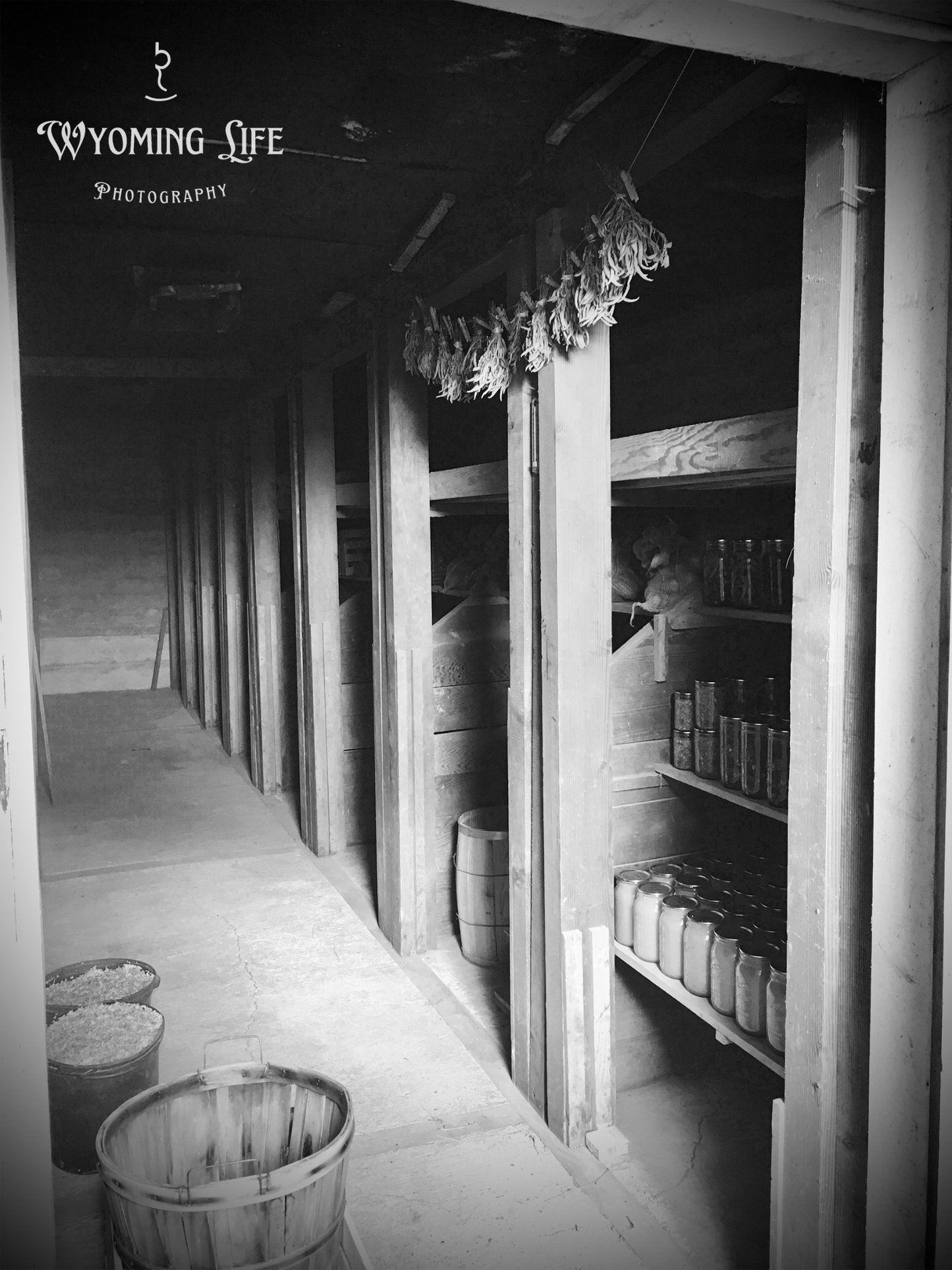 Matte Print, Root Cellar
