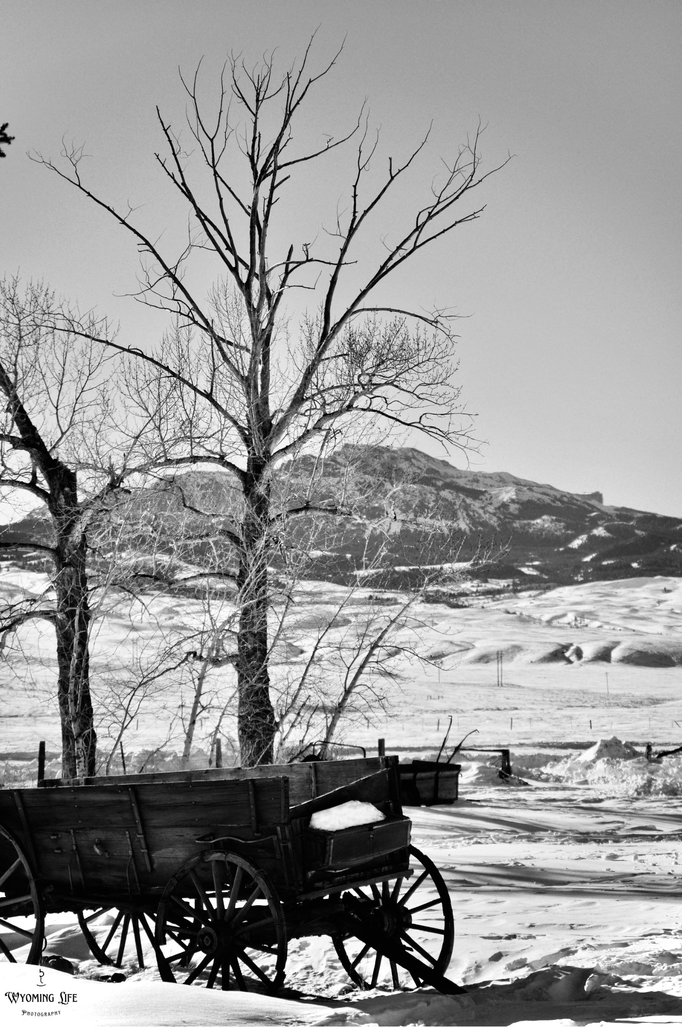 Canvas, Snow Bound Wagon