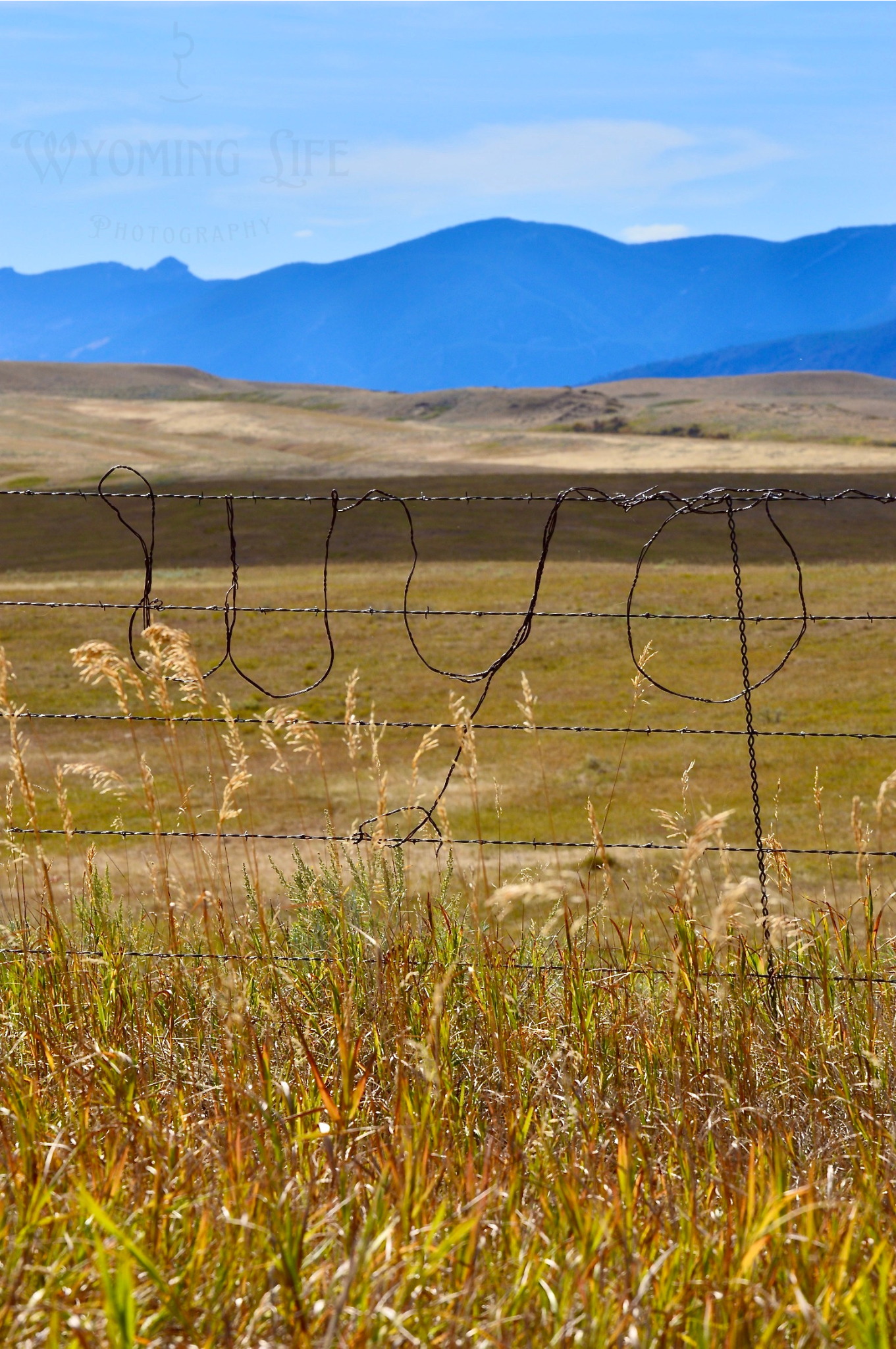 Matte Print, Wyo Fence Art
