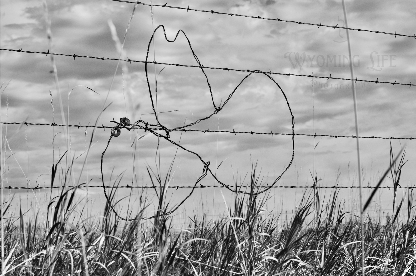 Matte Print, Cowboy Hat Fence Art