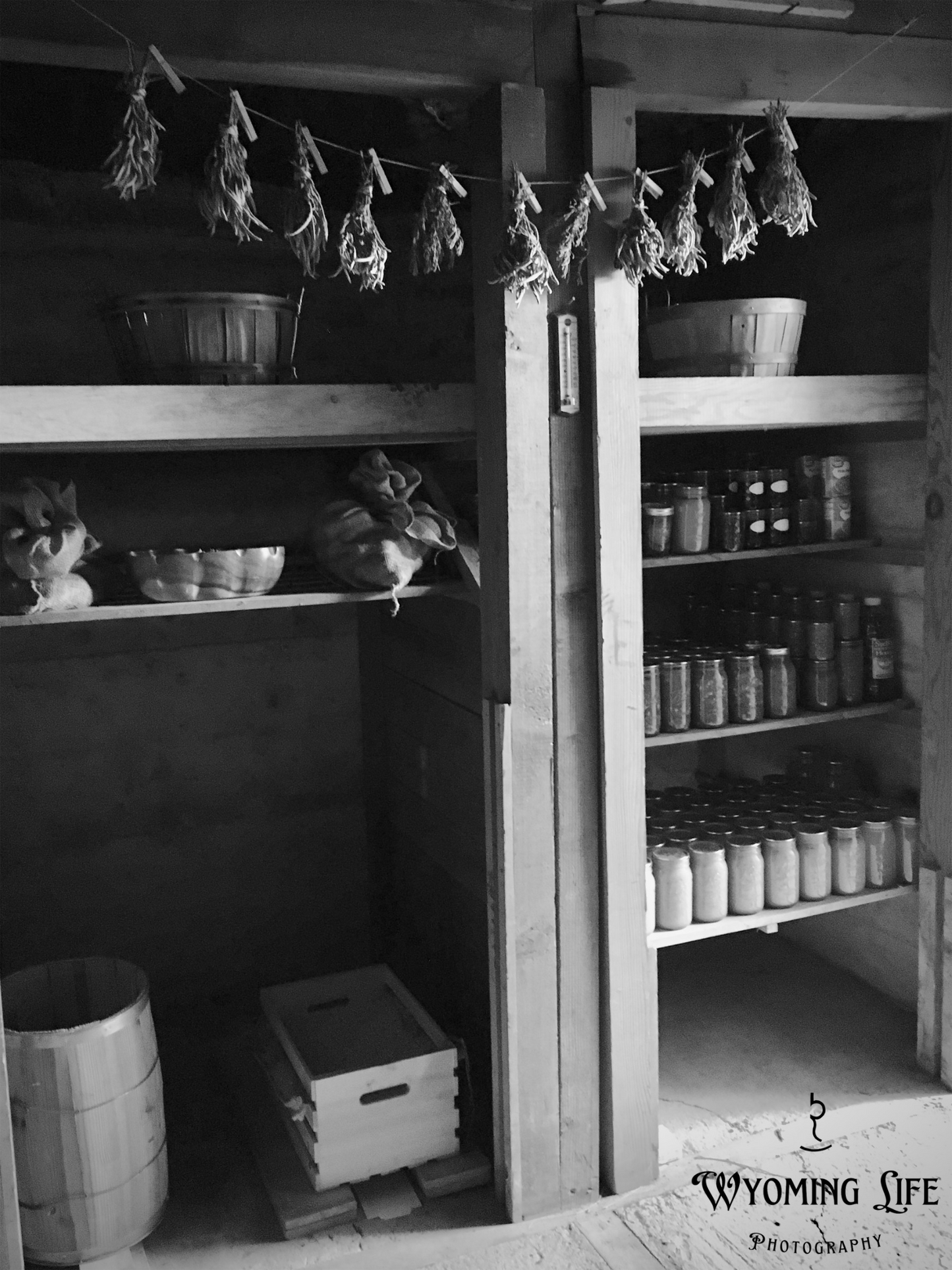 Canvas, Root Cellar Bounty