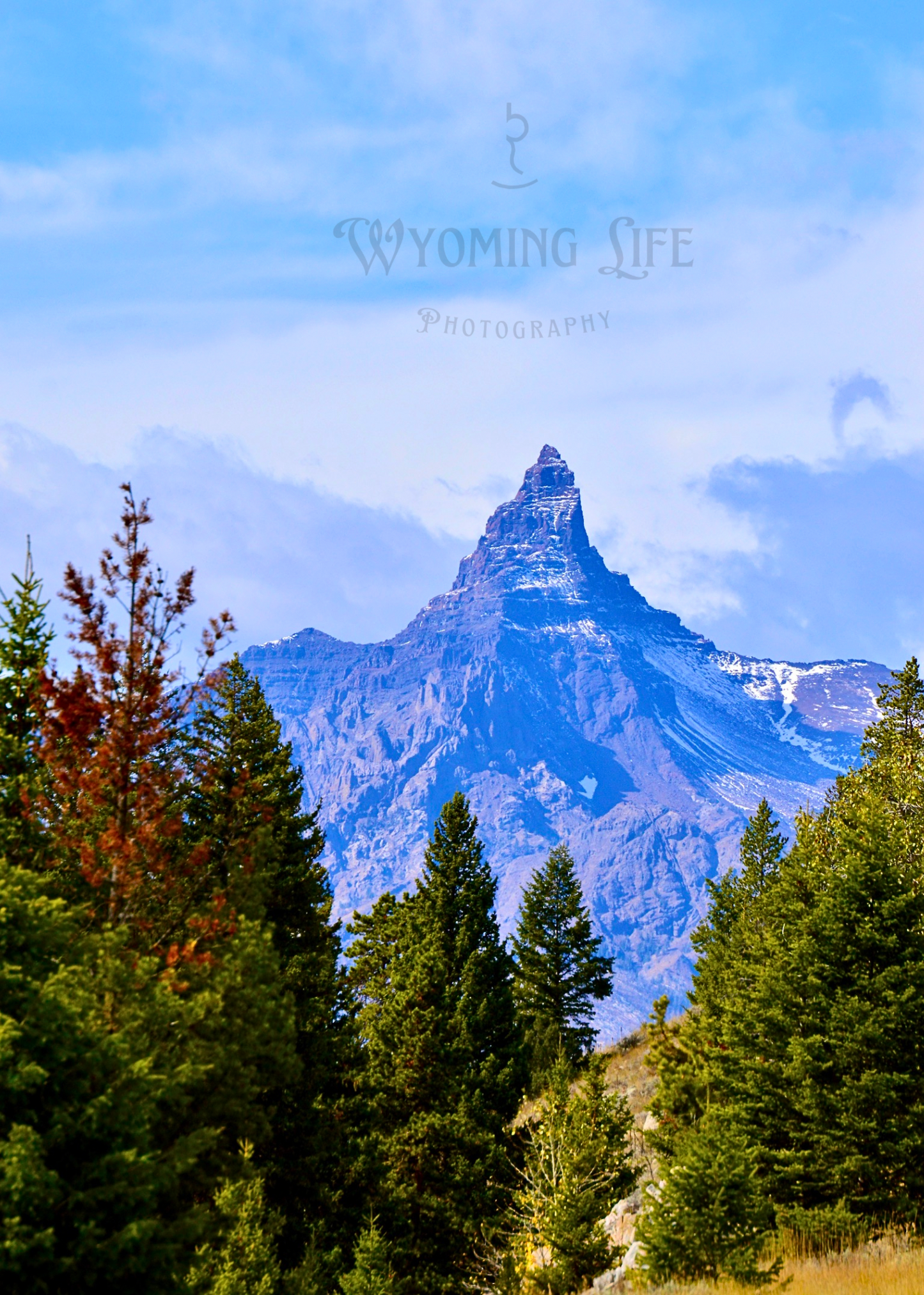 Canvas, Print Pilot Peak