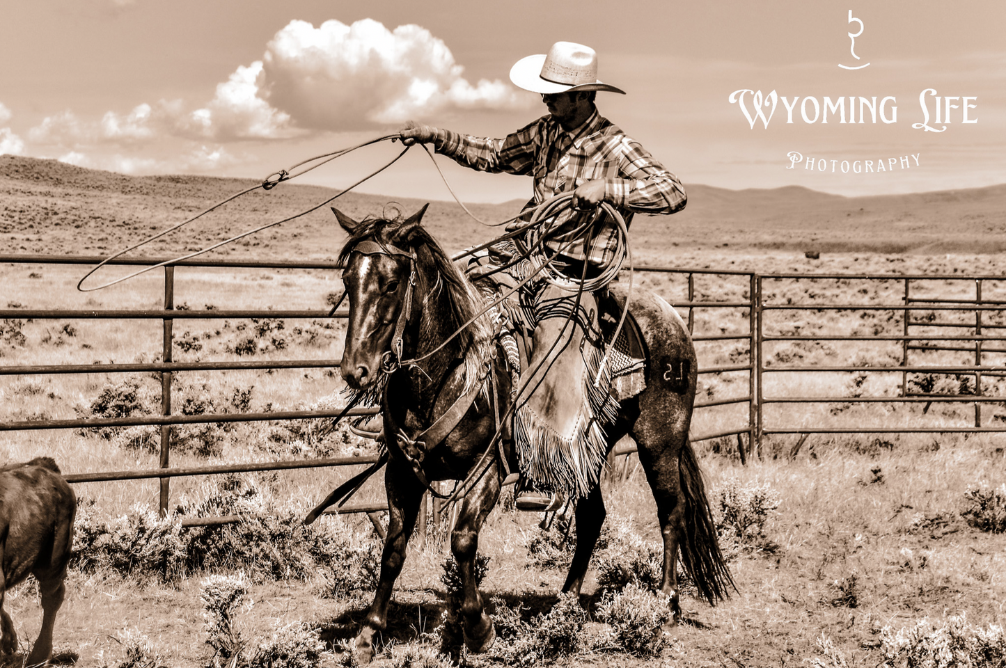 Canvas, One Loop at a Time