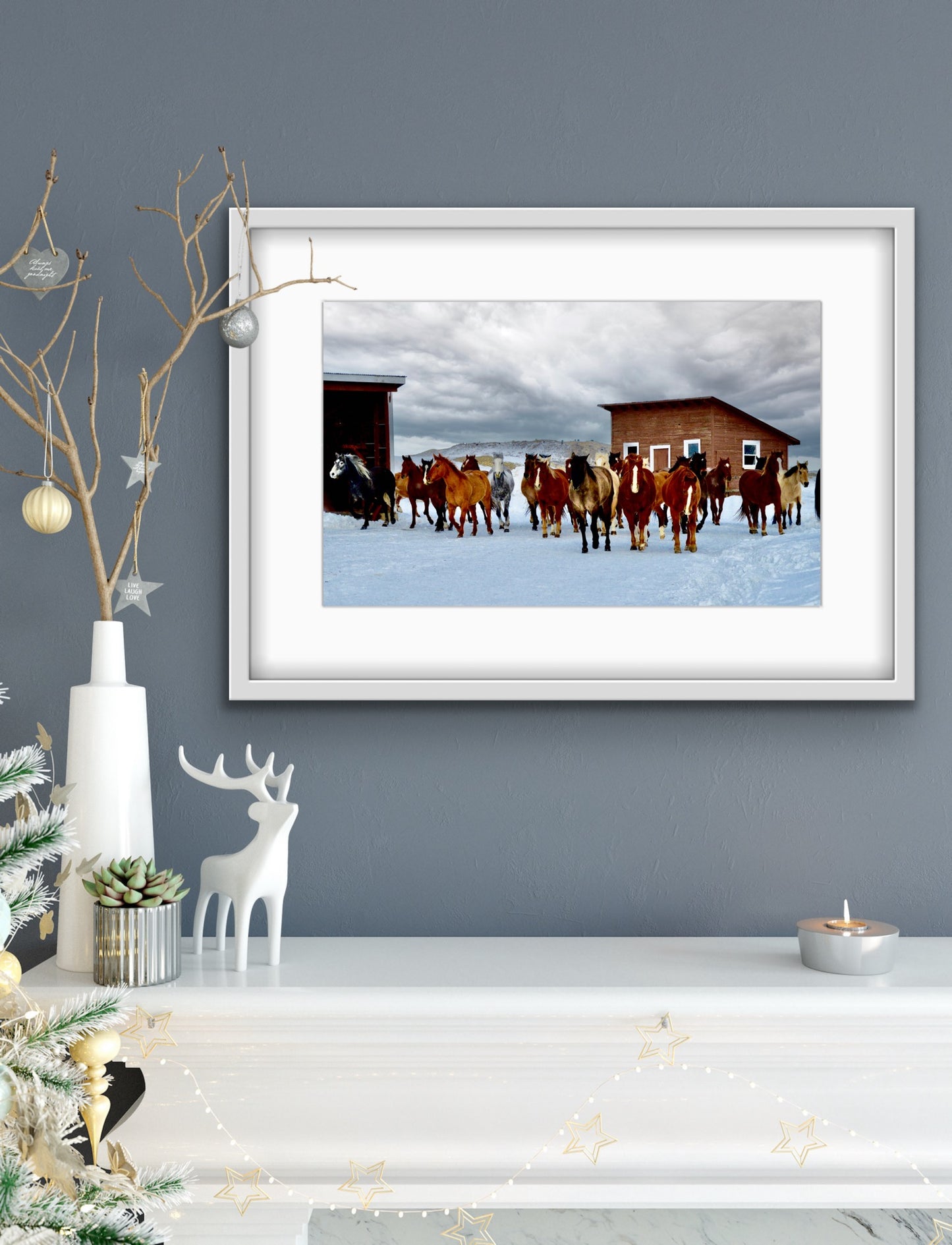 Canvas, Wrangling The Cavvy