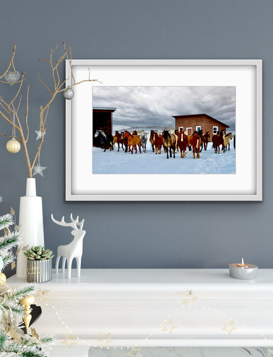 Canvas, Wrangling The Cavvy