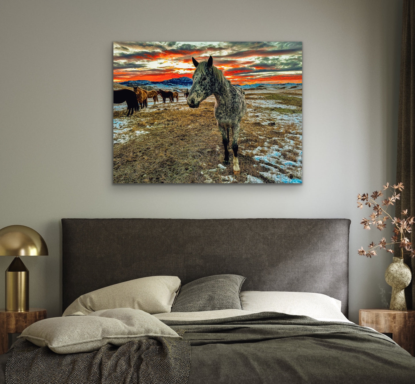 Matte Print, Appaloosa at Sunset