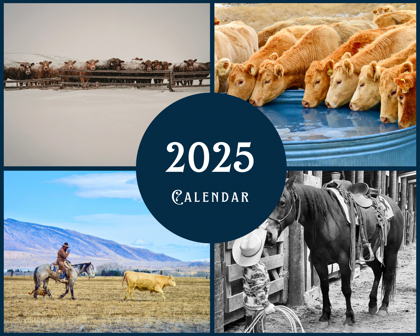 2025 Wall Calendar