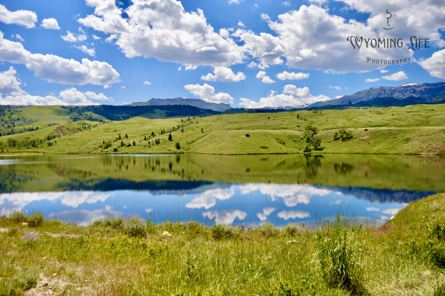 Canvas, Carter Mountain Reflection