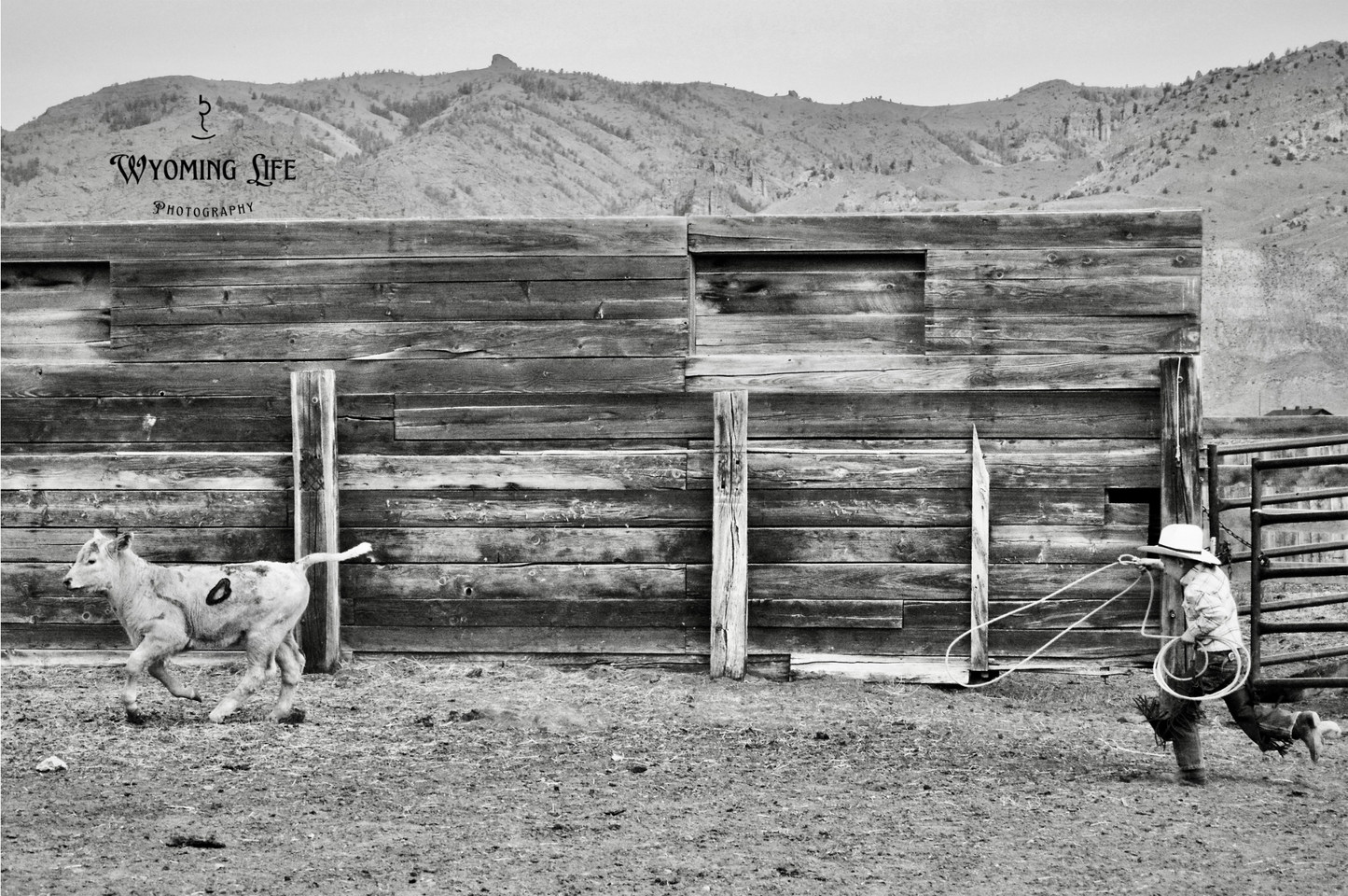 Canvas, Determined Buckaroo 3