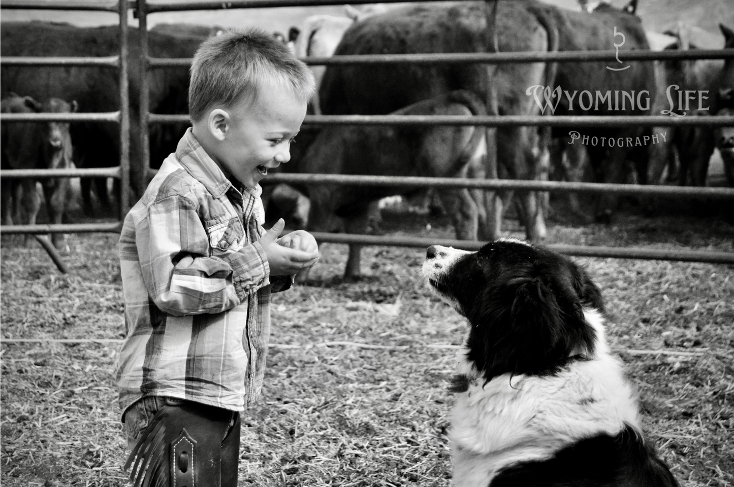 Canvas, Boy and Dog #3