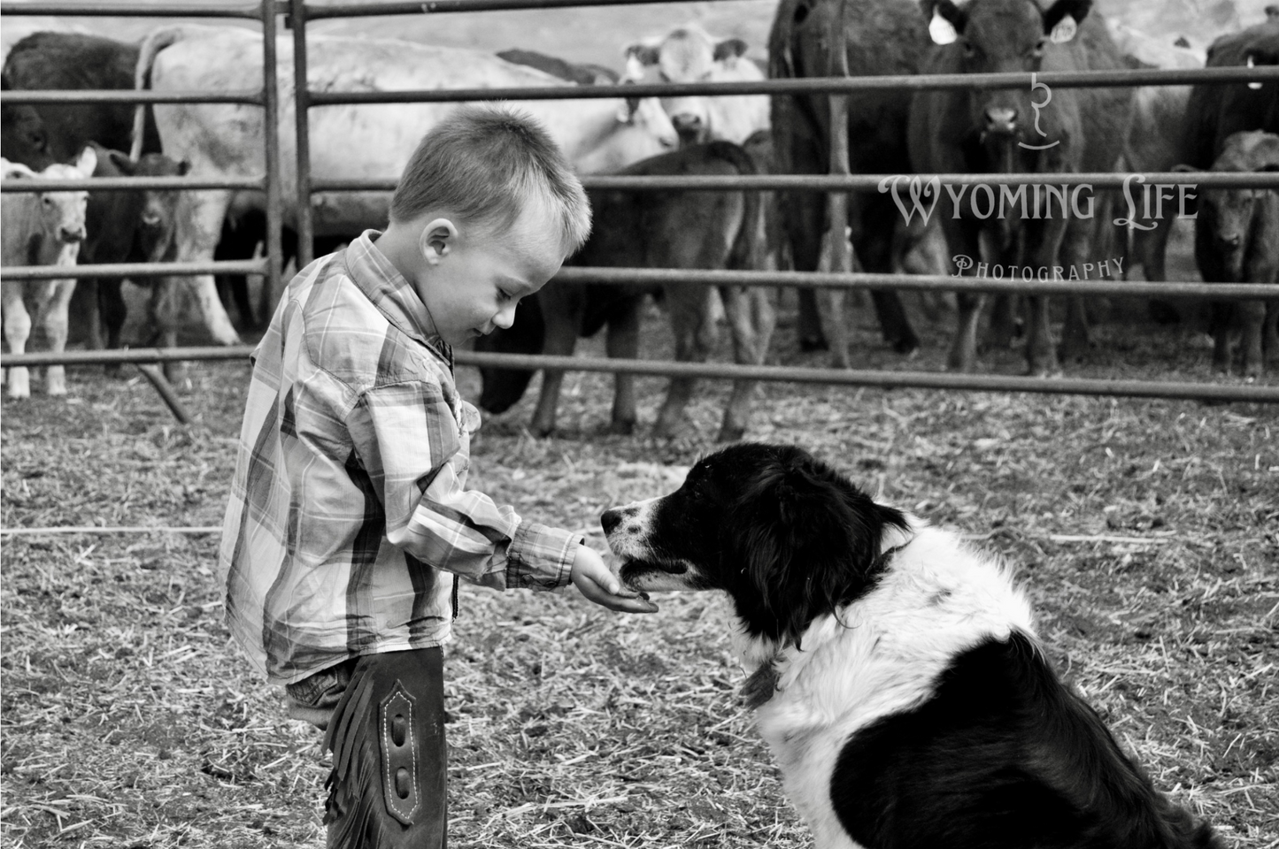 Canvas, Boy and Dog #2