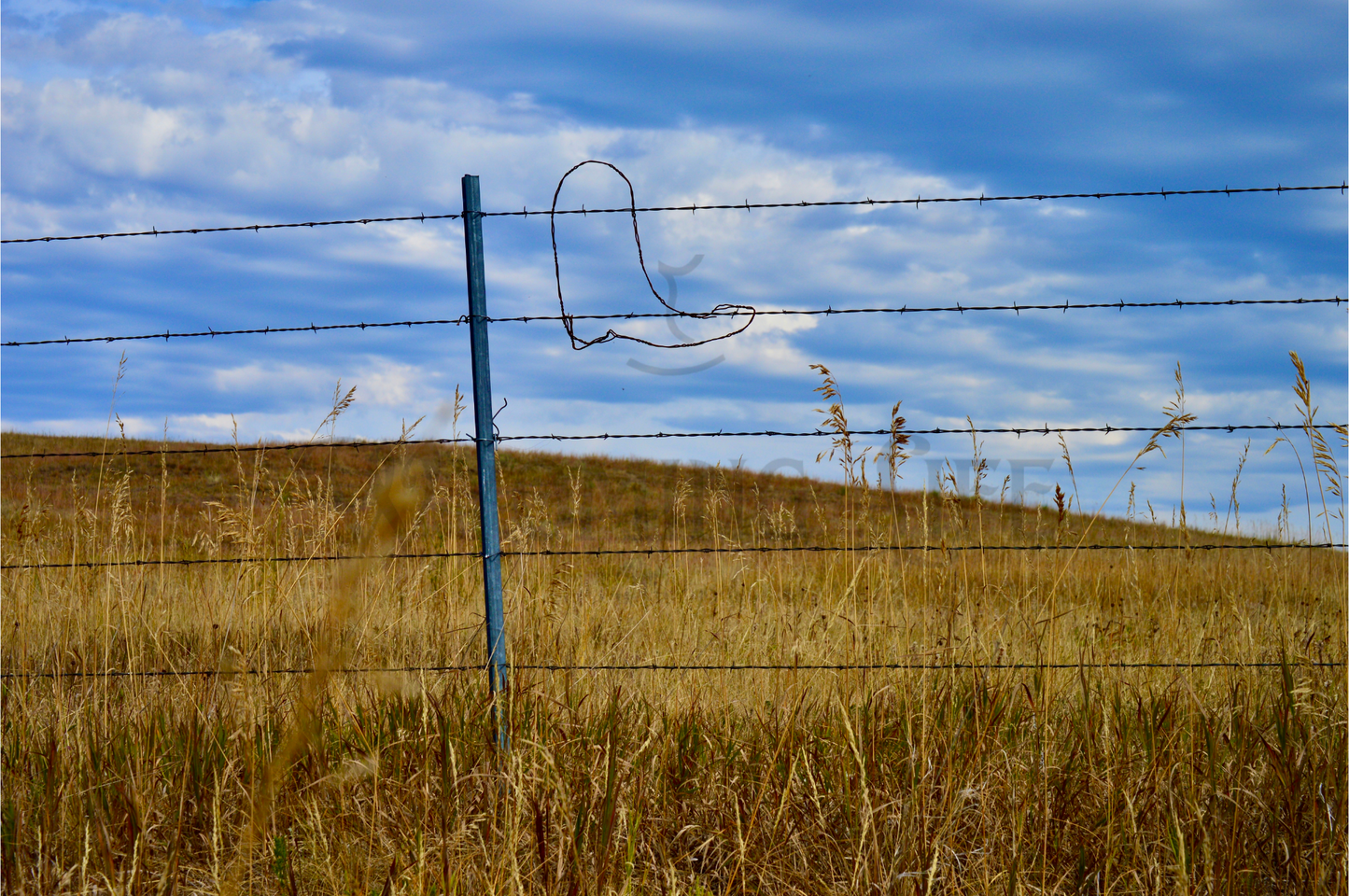 Canvas, Cowboy Boot Fence Art