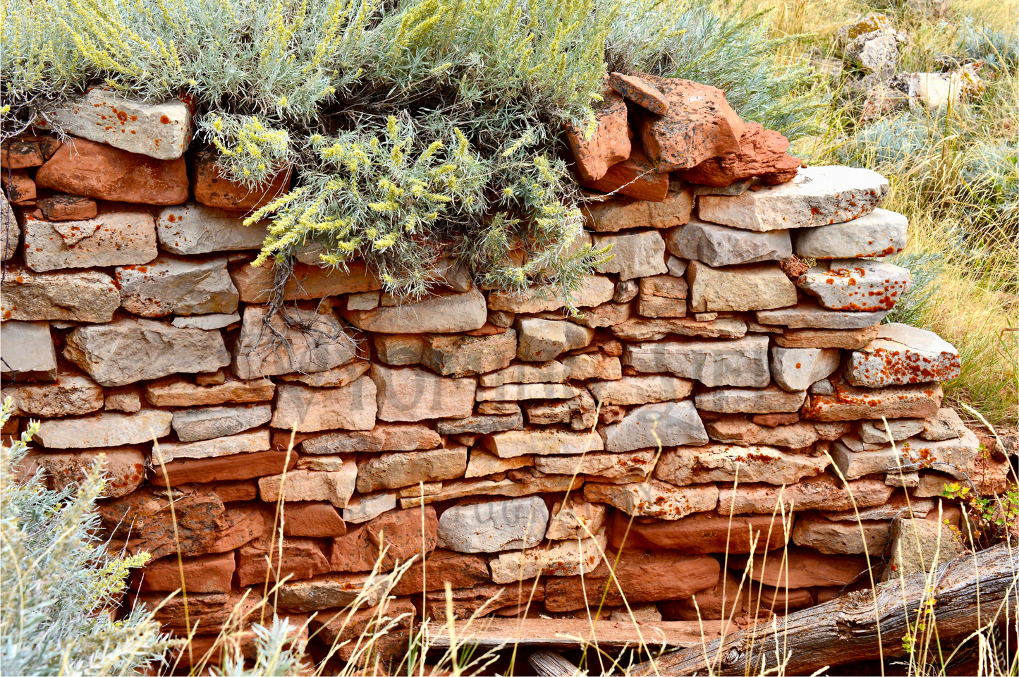 Matte Print, Old Root Cellar Wall