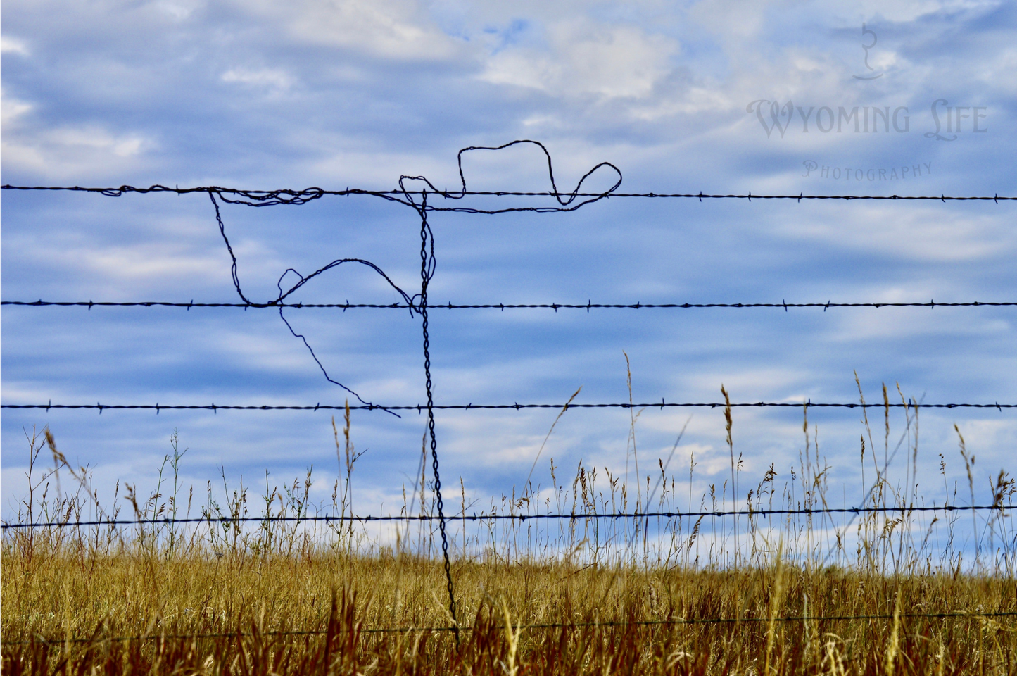 Metal, Cowboy Hat on Flag Fence Art