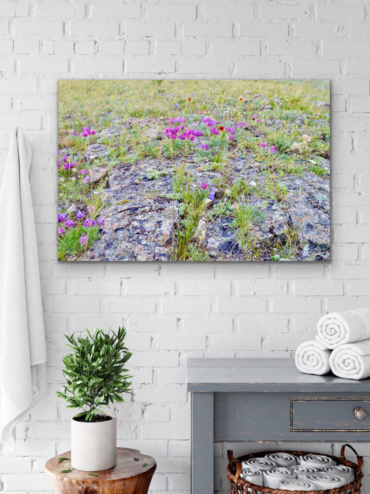 Canvas, Wild Flowers on Rock