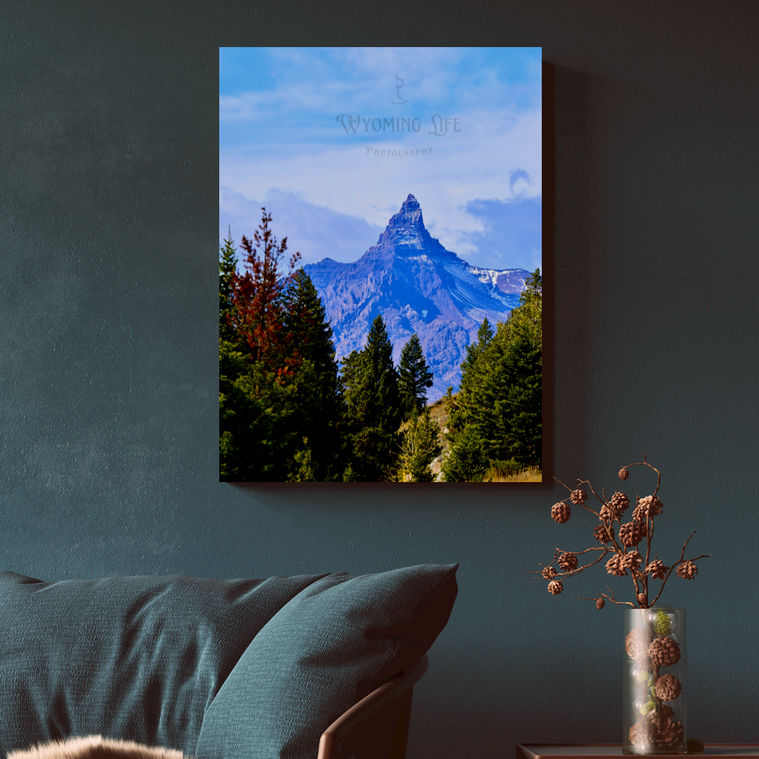 Canvas, Print Pilot Peak