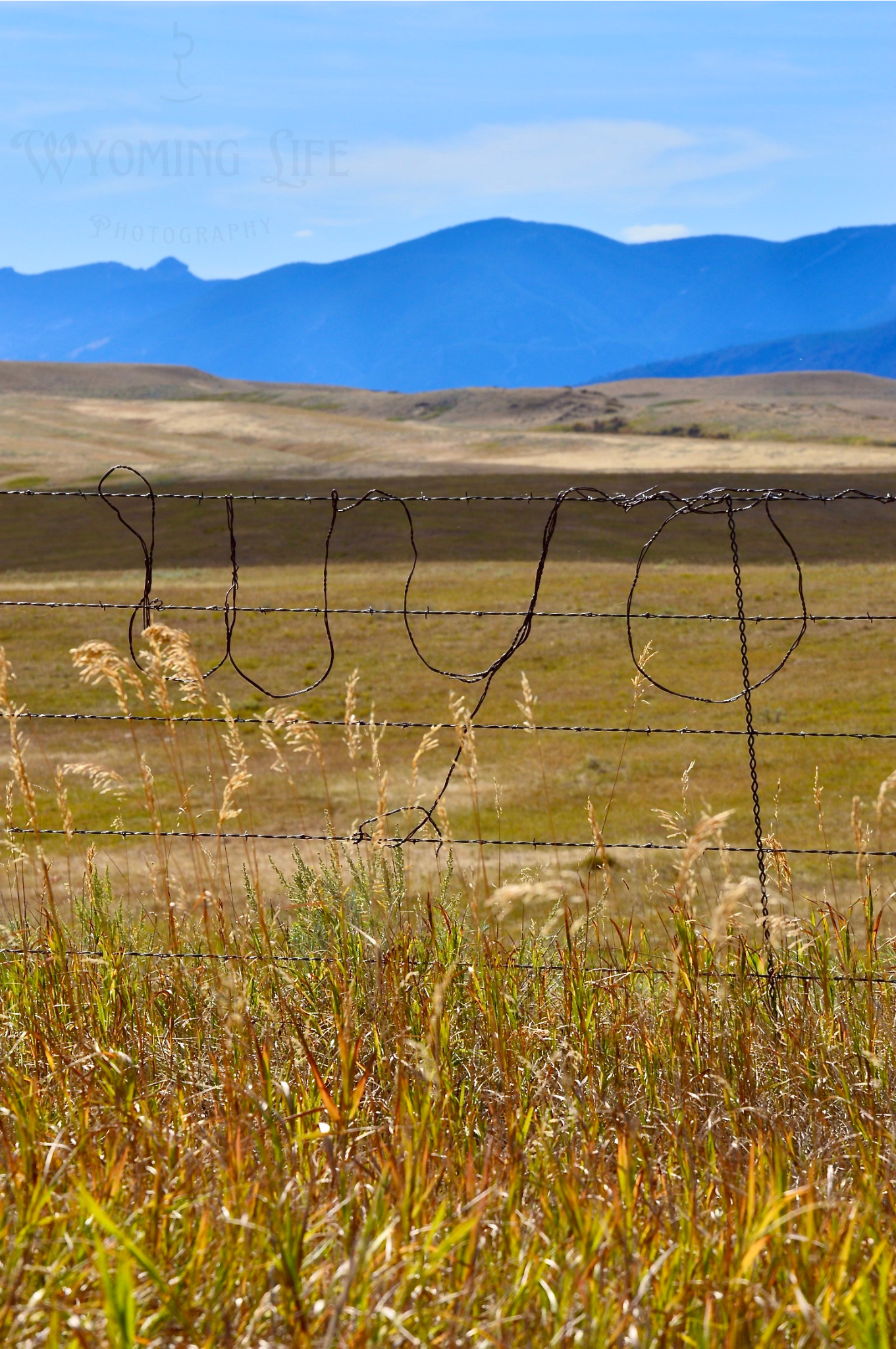 Metal, Wyo Fence Art