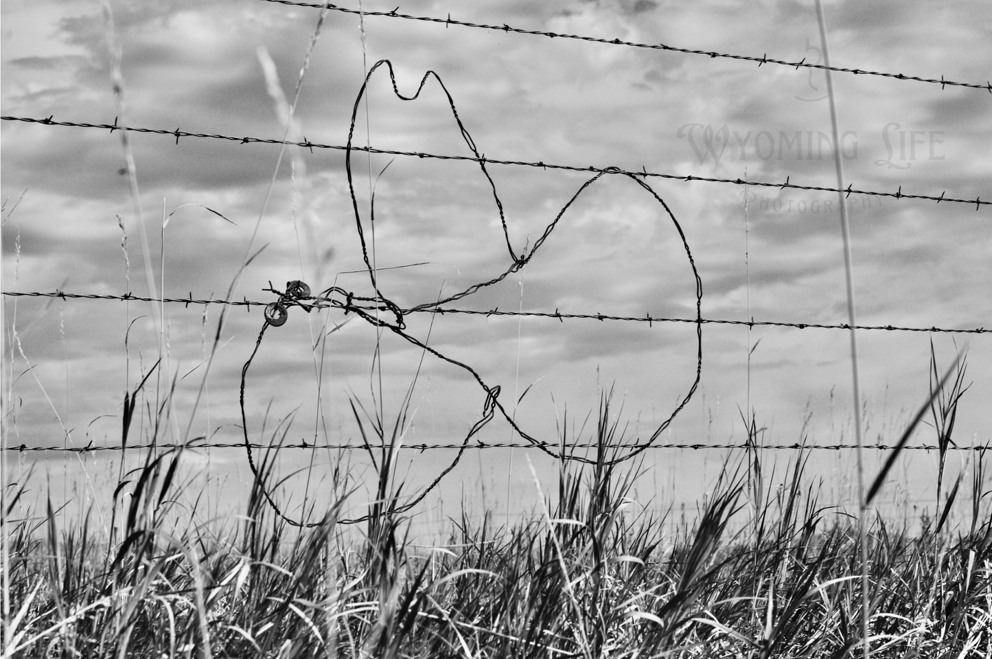 Canvas, Cowboy Hat Fence Art