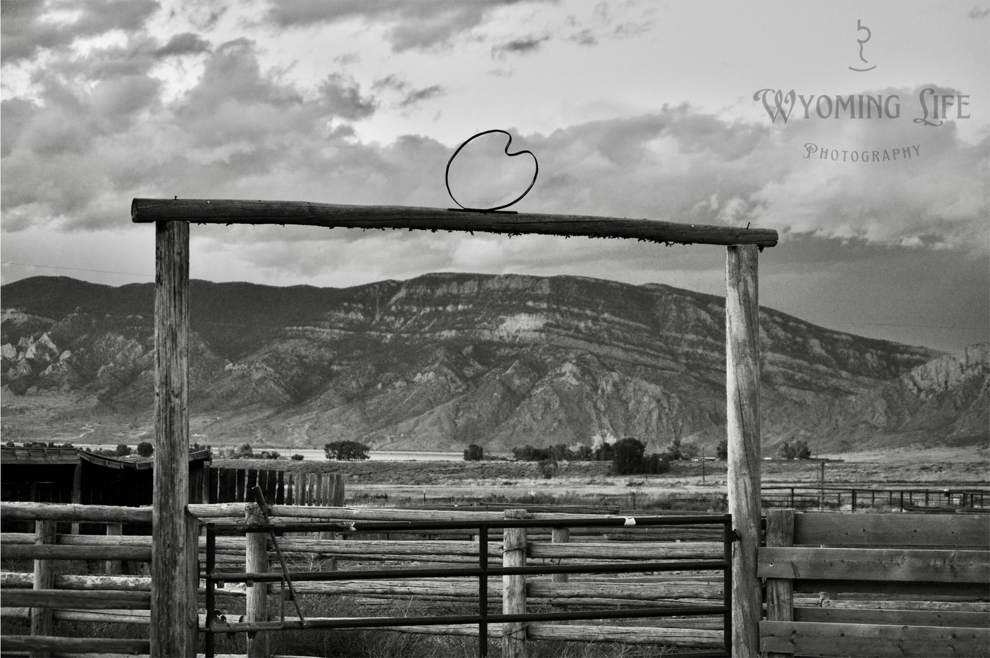 Canvas, Carter Corrals