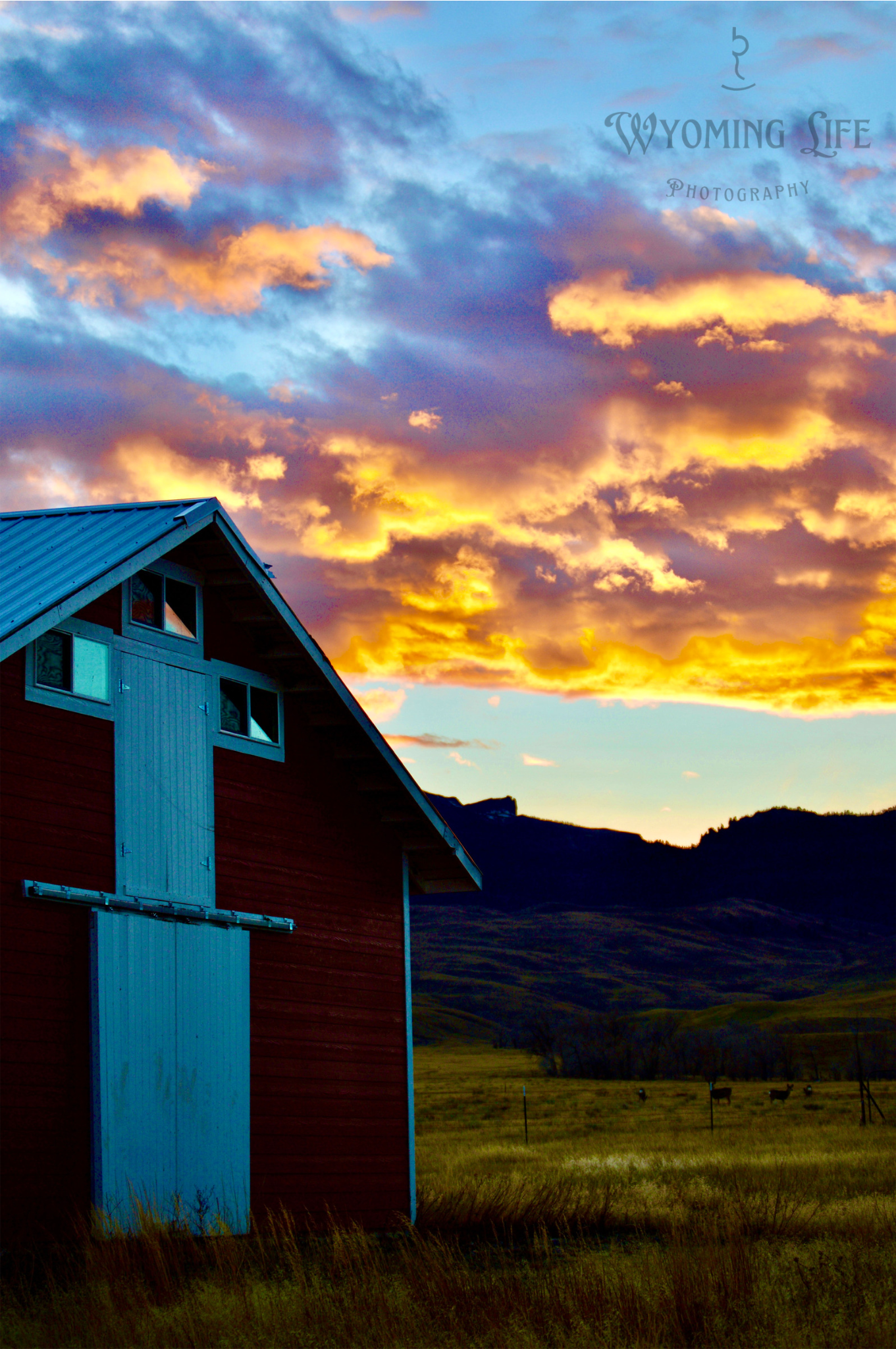 Canvas, Red Barn Sunset