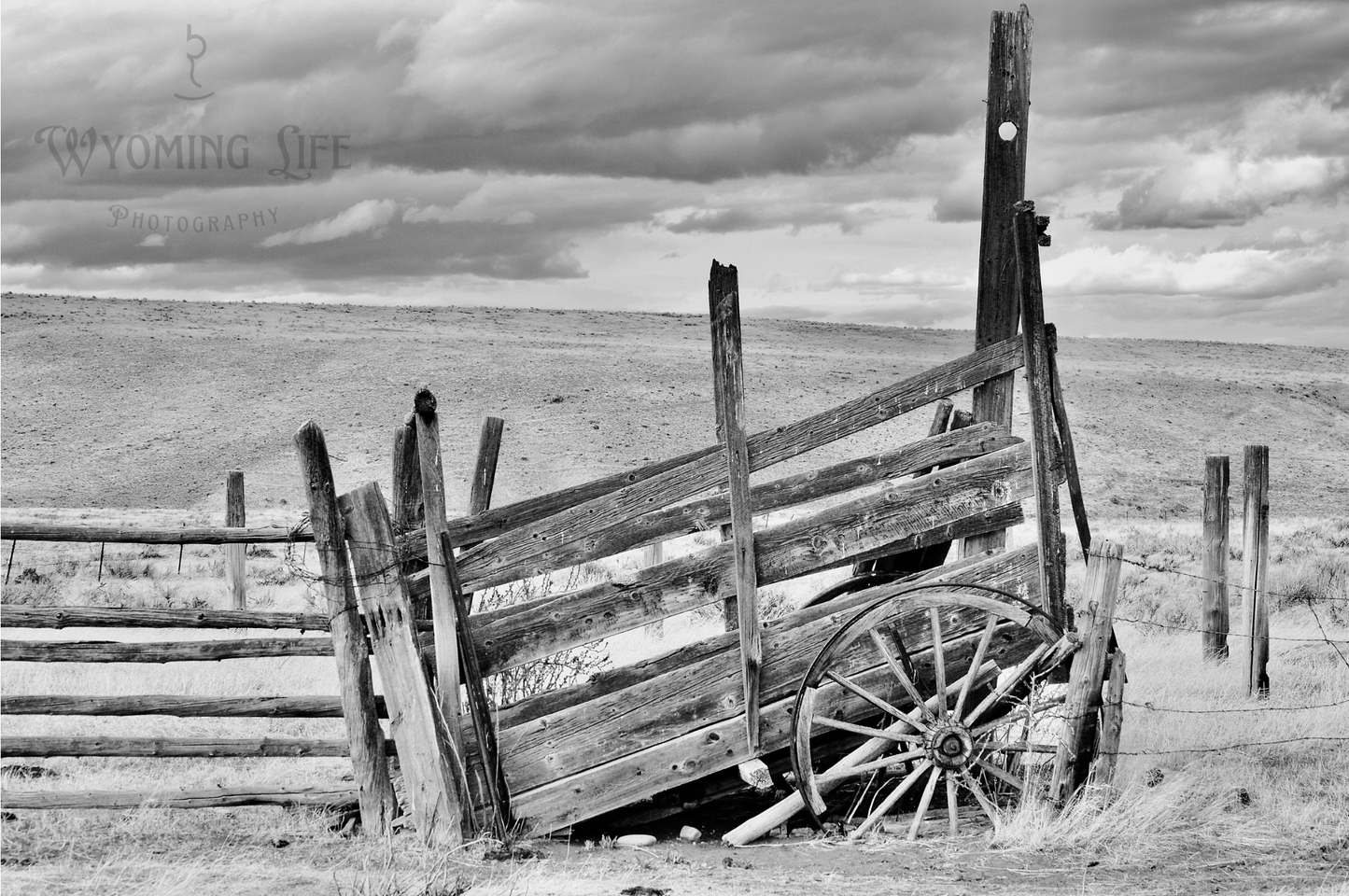 Matte Print, Old Cattle Loading Chute