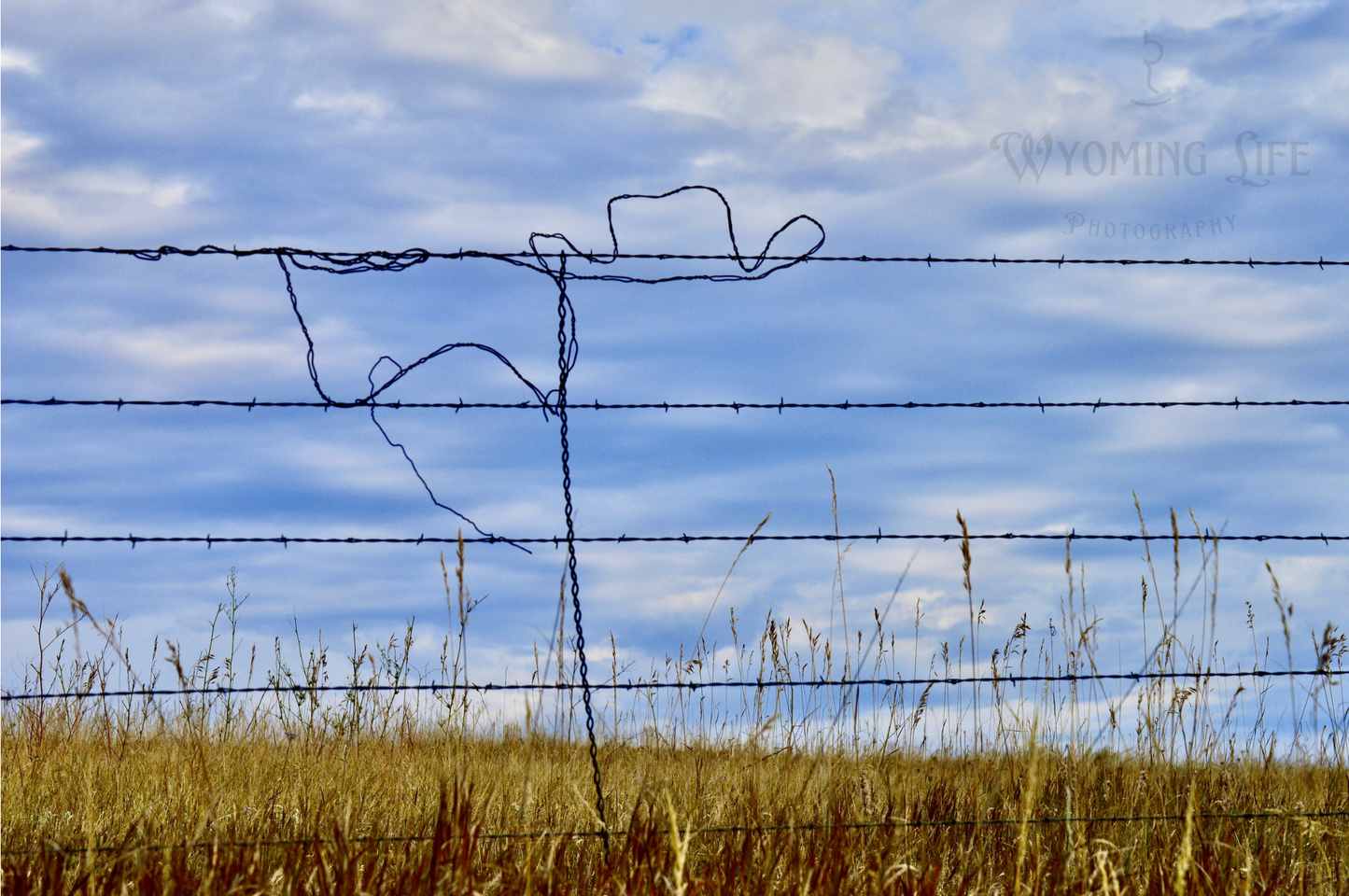Matte Print, Cowboy Hat on Flag Fence Art
